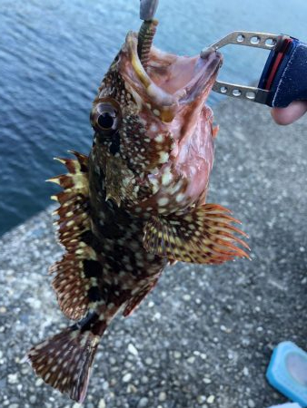 小物しな釣れない