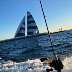 東京湾、カワハギ玉砕