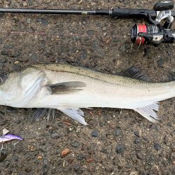 初釣りのロッド入魂