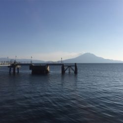 2020年 釣り初め チヌ釣り