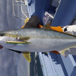 松鶴丸 釣果