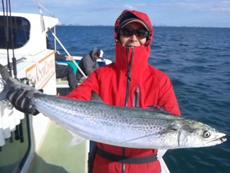 さわ浦丸 釣果