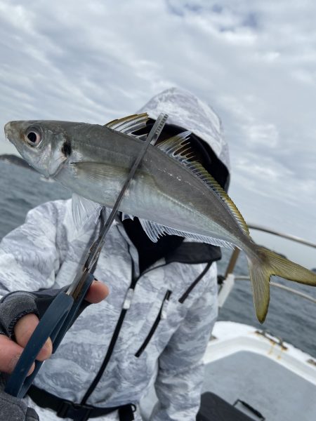 夢丸 釣果