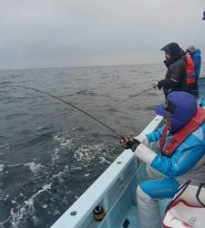 東京湾探釣隊ぼっち 釣果