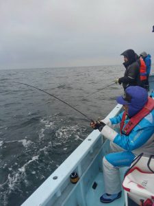 東京湾探釣隊ぼっち 釣果