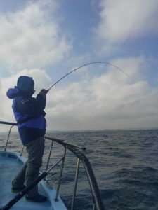 東京湾探釣隊ぼっち 釣果