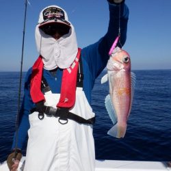 開進丸 釣果