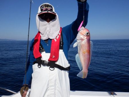 開進丸 釣果