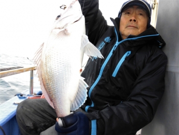 鯛紅丸 釣果