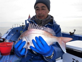 鯛紅丸 釣果