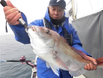 鯛紅丸 釣果