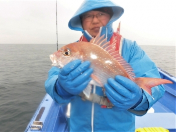 鯛紅丸 釣果