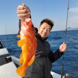 ブルーピア 釣果