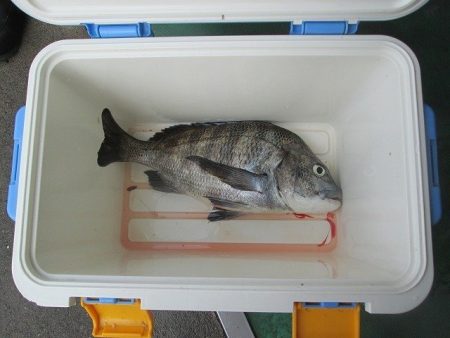 下関フィッシングパーク 釣果