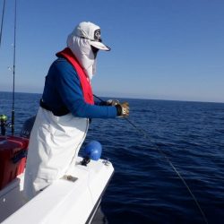 開進丸 釣果