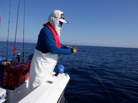 開進丸 釣果