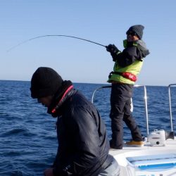 開進丸 釣果