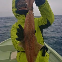 気仙沼　つり丸 釣果