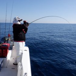 開進丸 釣果