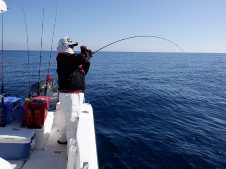 開進丸 釣果