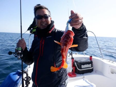 開進丸 釣果