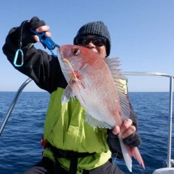 開進丸 釣果