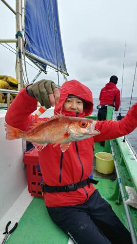 仁徳丸 釣果