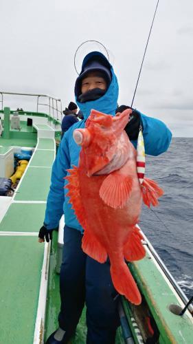 仁徳丸 釣果