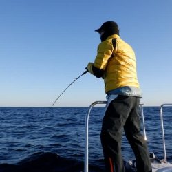 開進丸 釣果