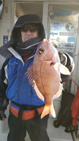 遊漁船　ニライカナイ 釣果