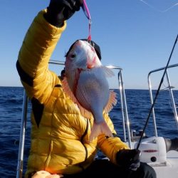 開進丸 釣果