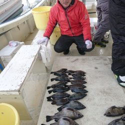 たかみ丸 釣果