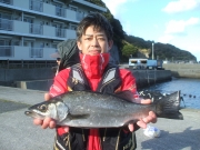 春日丸 釣果