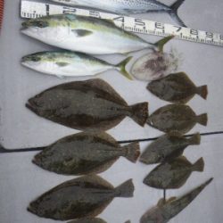 磯部釣船 直栄丸 釣果