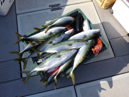 えすぽあ 釣果