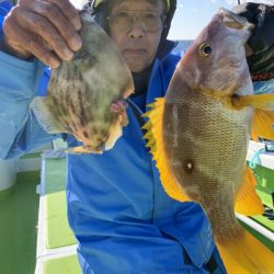 松栄丸 釣果