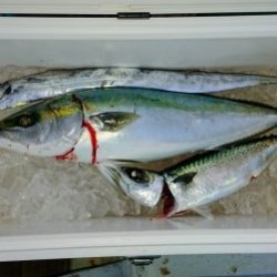 火遠理丸（ほおりまる） 釣果