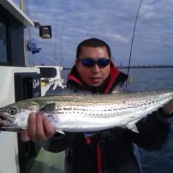 さわ浦丸 釣果