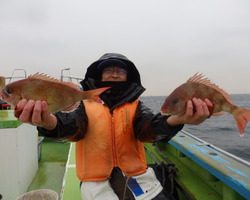 久里浜黒川本家 釣果