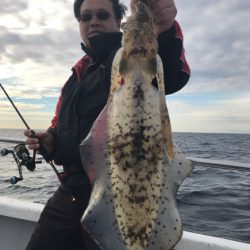 まると屋 釣果