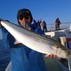 さわ浦丸 釣果