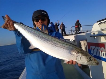 さわ浦丸 釣果