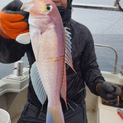 海峰 釣果