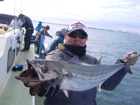 さわ浦丸 釣果