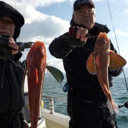 遊漁船　ニライカナイ 釣果