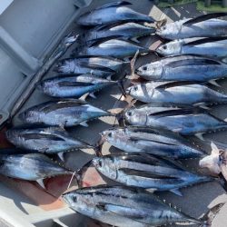 へいみつ丸 釣果