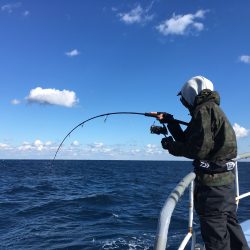 松鶴丸 釣果