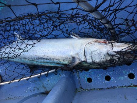 松鶴丸 釣果