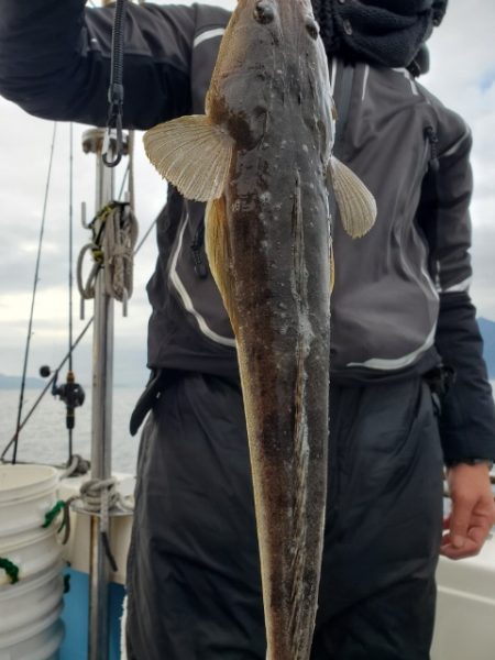 海晴丸 釣果