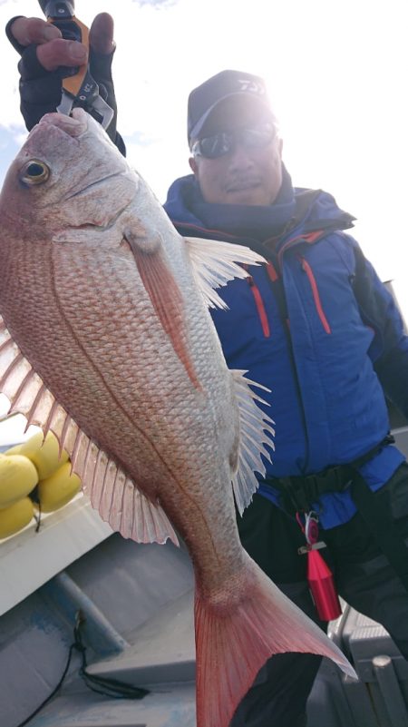 だて丸 釣果